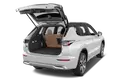 trunk