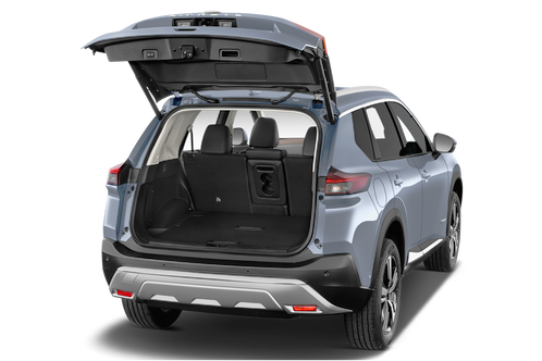 trunk
