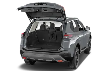 trunk