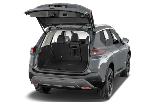 trunk