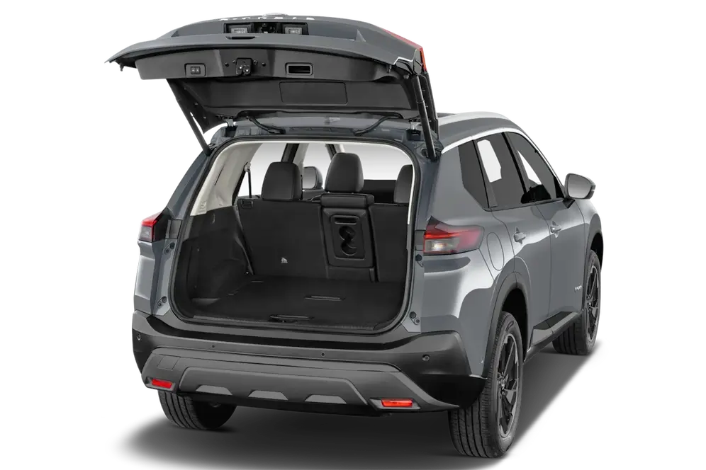 trunk