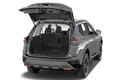 trunk