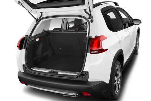 trunk