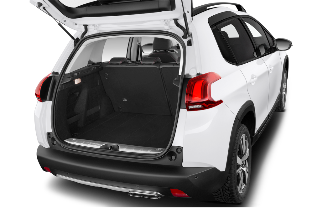trunk