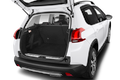 trunk
