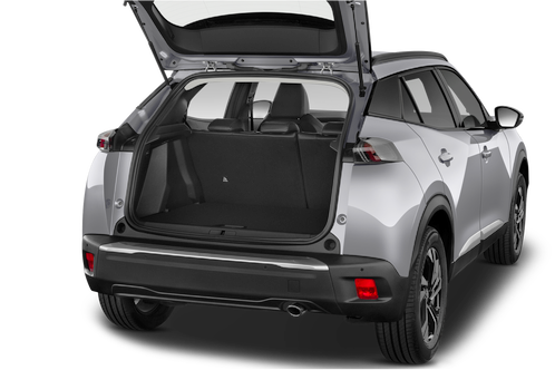 trunk