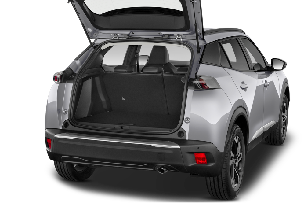 trunk
