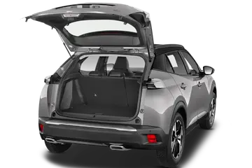 trunk
