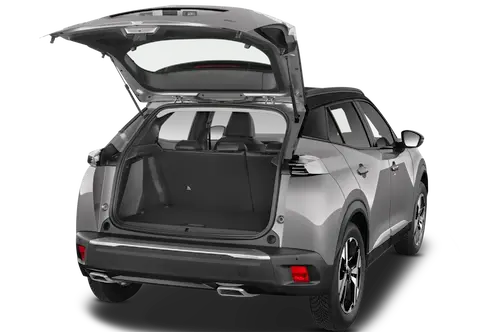 trunk