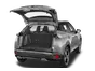 trunk