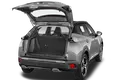 trunk