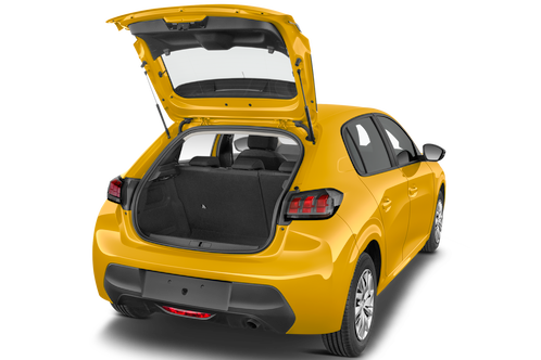trunk