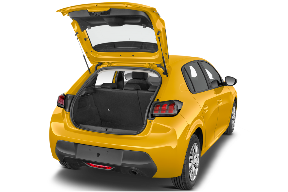 trunk