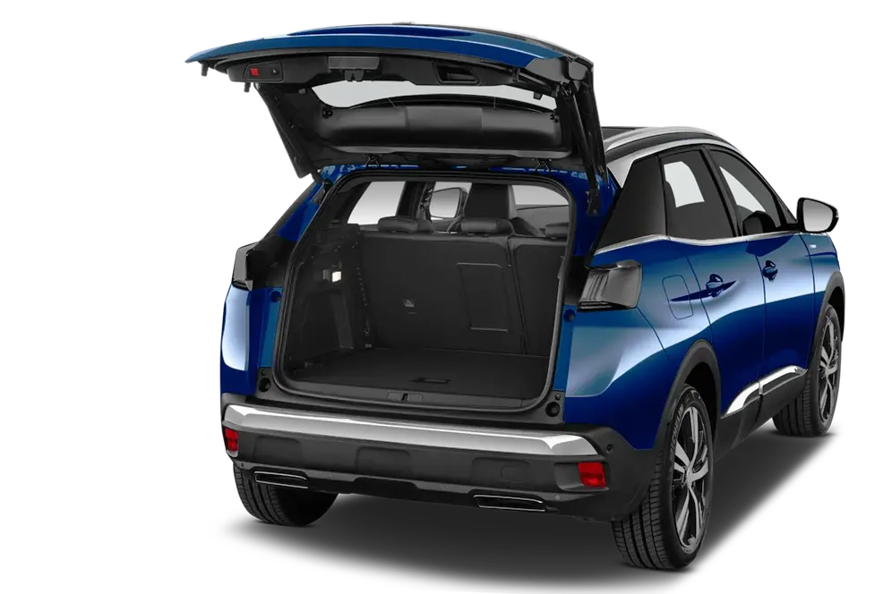 trunk