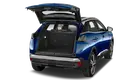 trunk