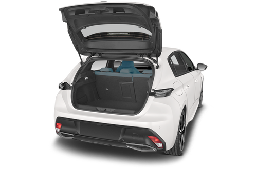 trunk