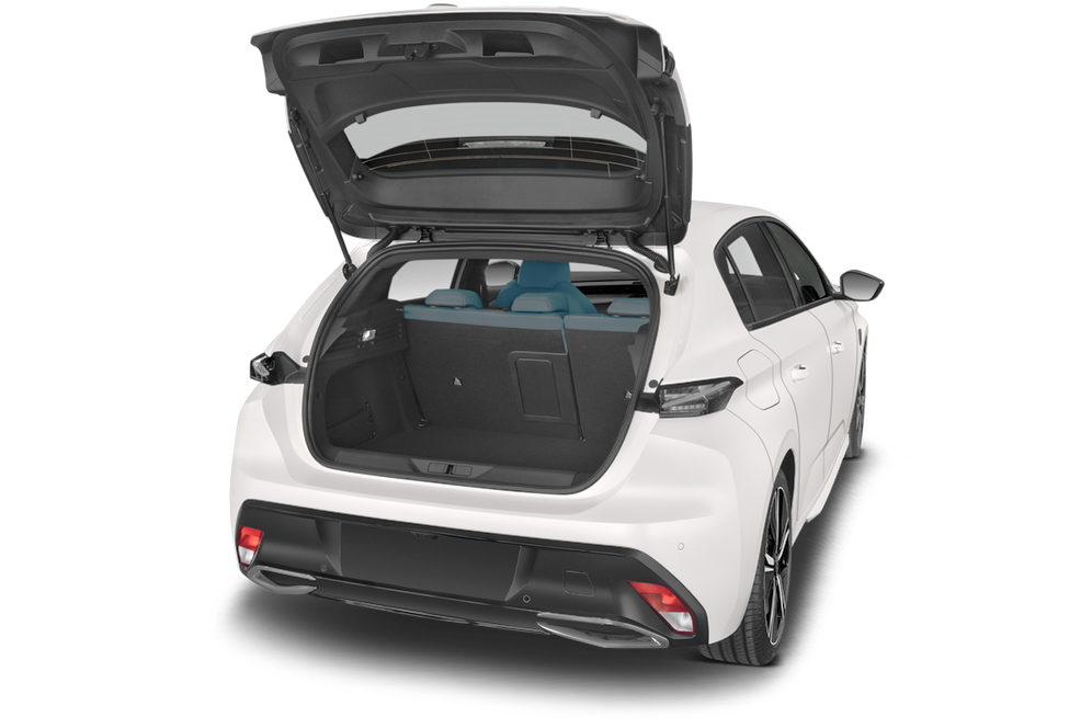 trunk