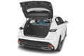 trunk