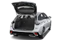 trunk
