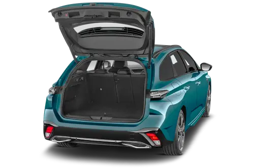 trunk