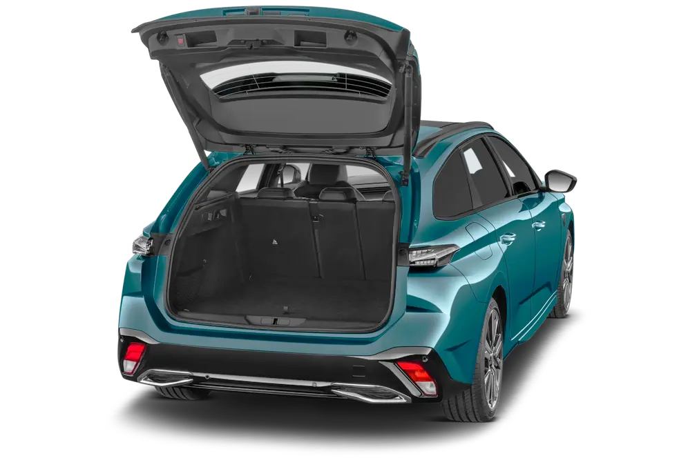 trunk