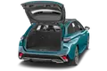 trunk