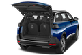 trunk