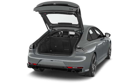 trunk