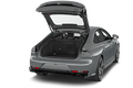 trunk