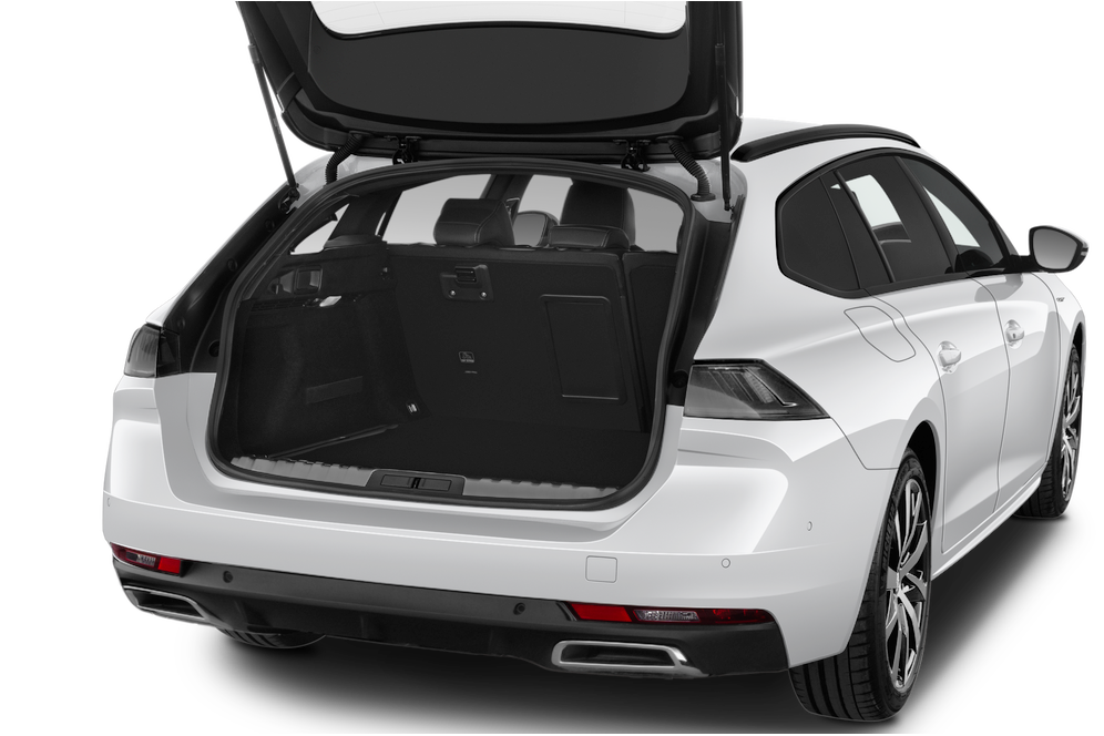 trunk