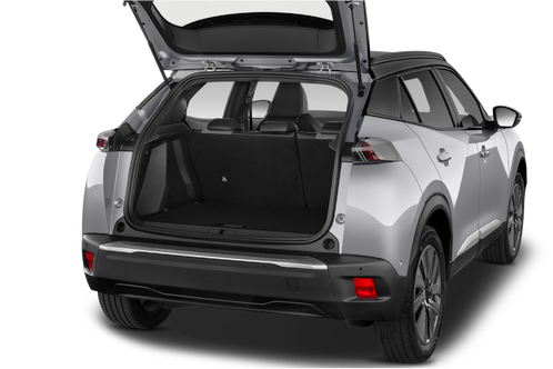 trunk