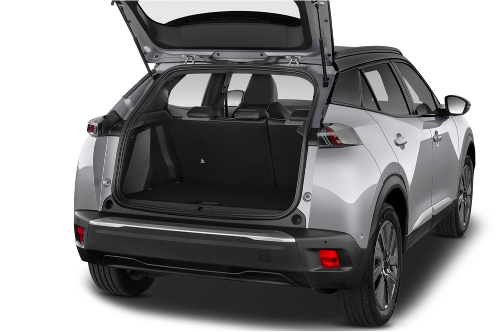 trunk
