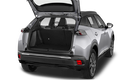 trunk