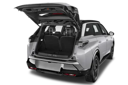 trunk