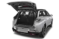 trunk