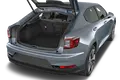 trunk