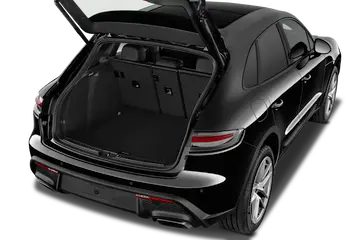 trunk