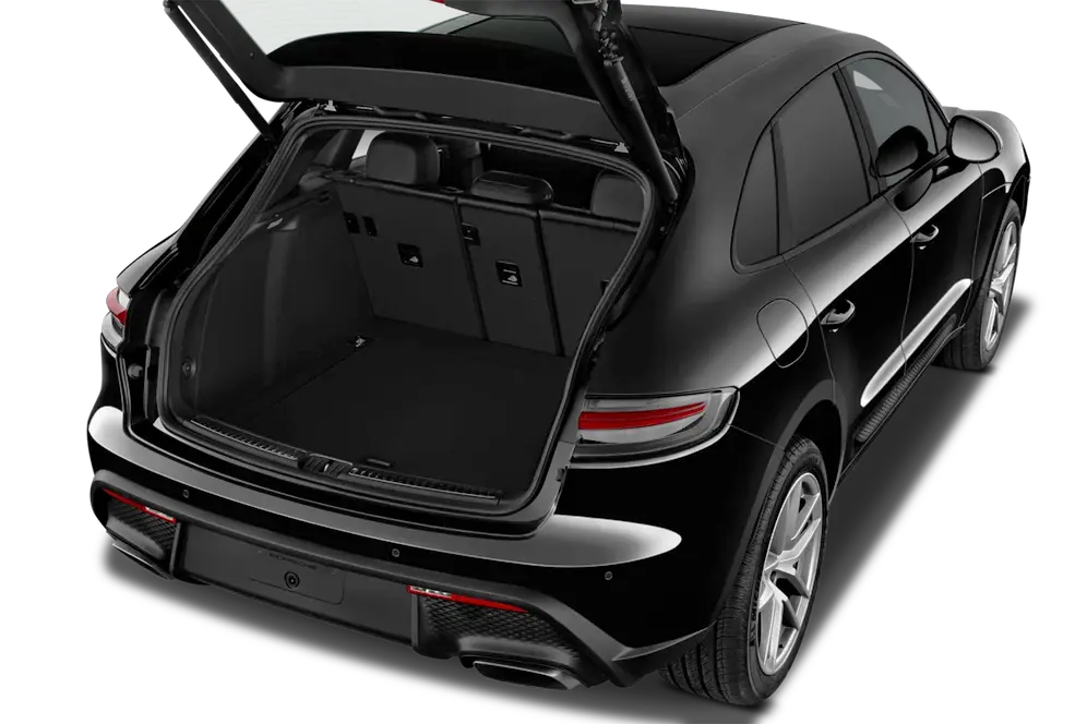 trunk