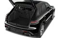 trunk