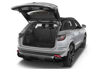 trunk