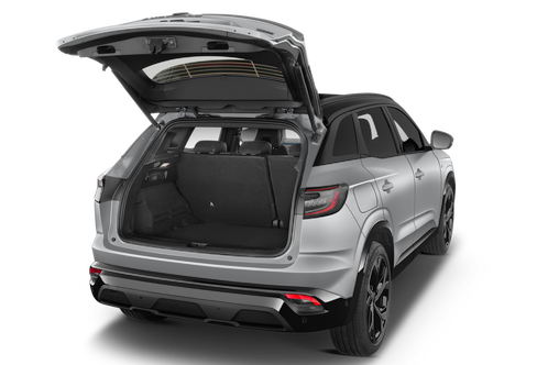 trunk