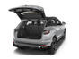 trunk