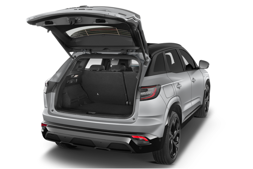 trunk