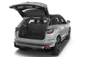 trunk