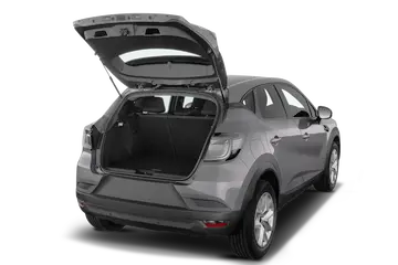 trunk