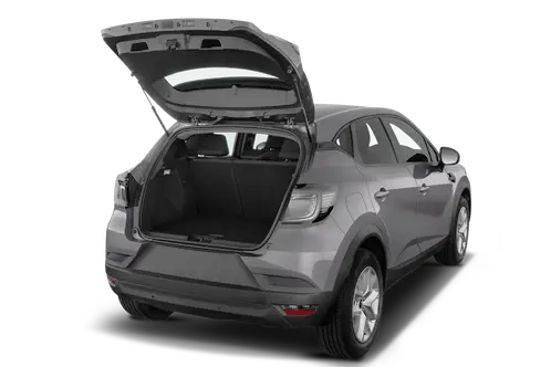trunk