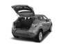 trunk