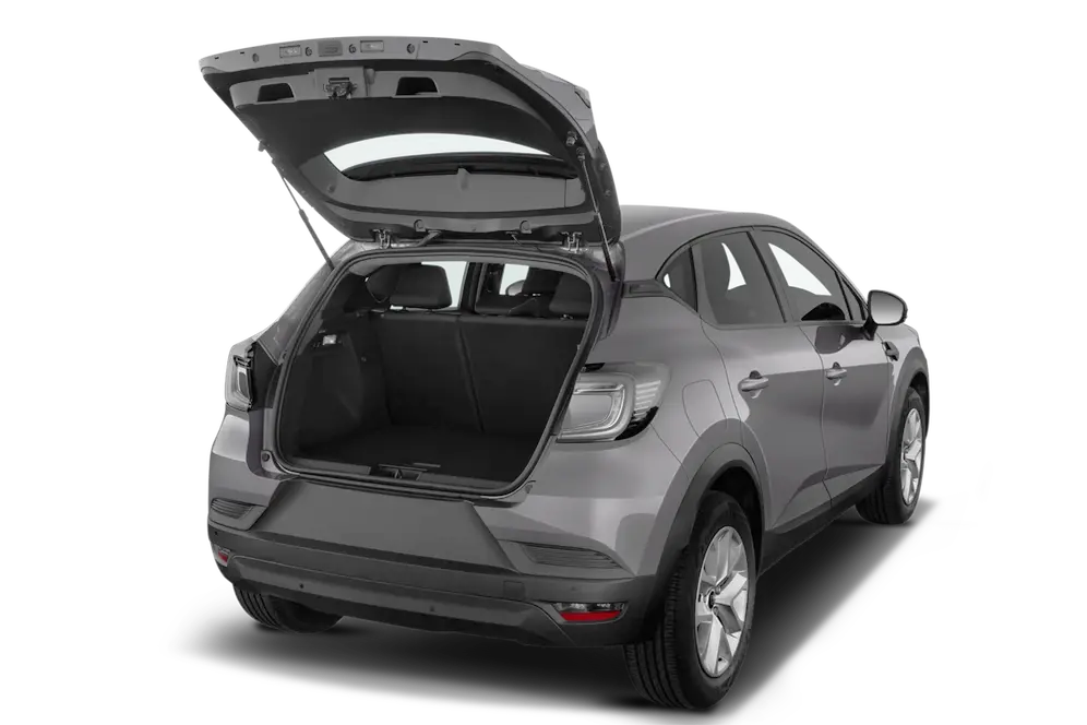 trunk