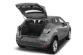 trunk