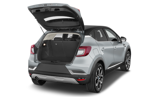 trunk